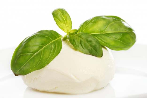 Free photo white mozarella cheese with mint leaves