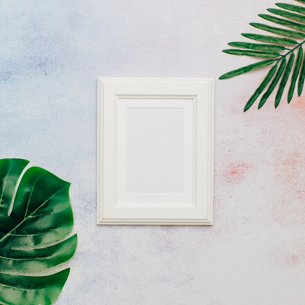 white nice frame with tropical leaves