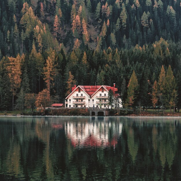 White and Orange House Beside Forest and Body of Water
