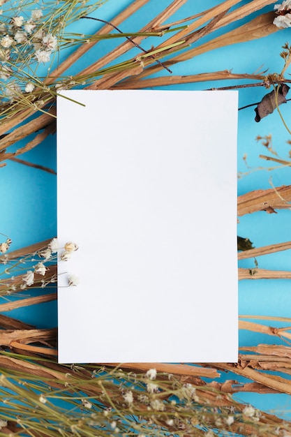 Free photo white paper on cotton branches copy space