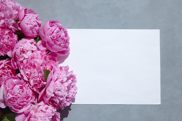 灰色の背景に白い紙とピンクの牡丹の花束