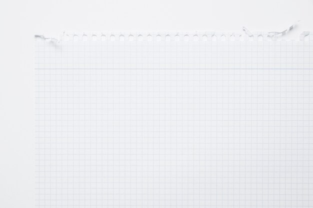 White paper texture background