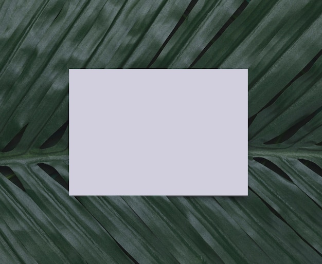 Free photo white paper on tropical leaf copy space