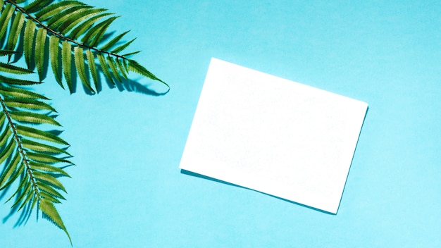 Free photo white paper with palm leaves on colorful surface