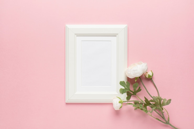 Free Photo white peony with frame