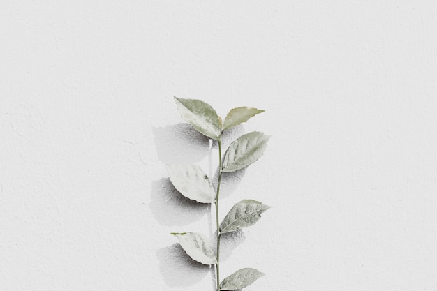 Ramo di pianta bianca su un muro di mattoni grigio in uno sfondo di luce naturale