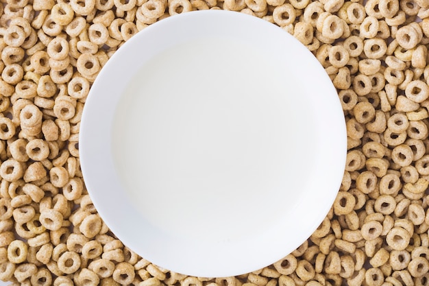 Free photo a white plate over the healthy corn cereals