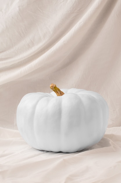 白かぼちゃの布アレンジメント
