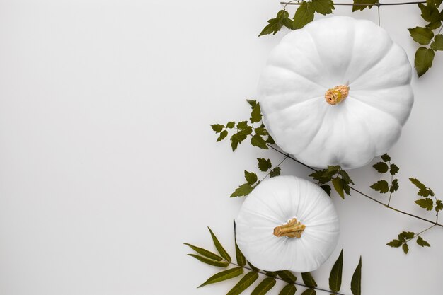 White pumpkin still life flat lay