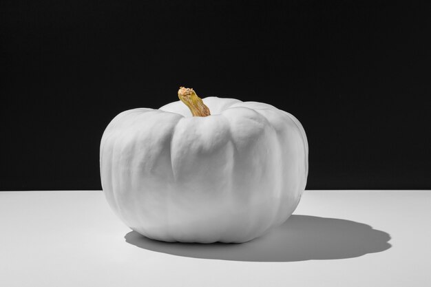 White pumpkin with dark background still life