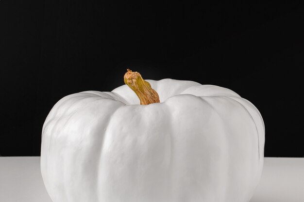 White pumpkin with dark background