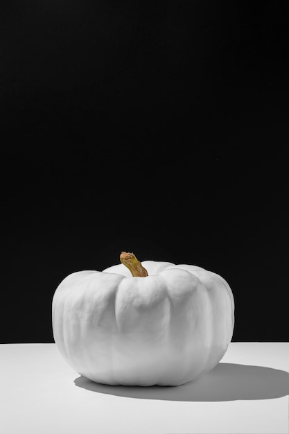 White pumpkin with dark background
