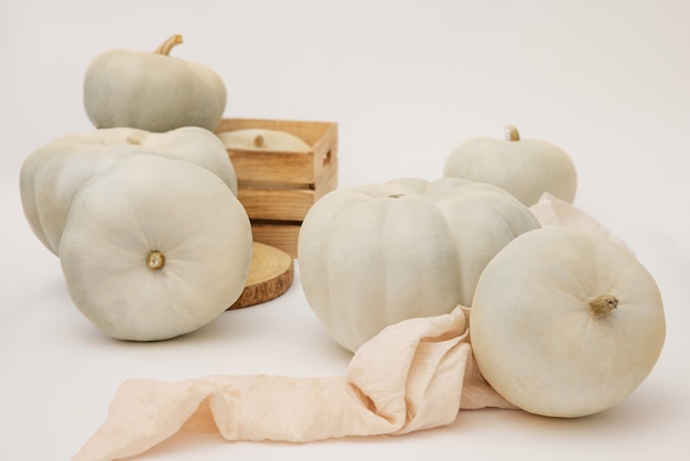 Free photo white pumpkins and box arrangement