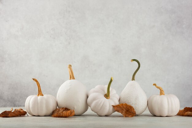 White pumpkins and brown leaves arrangement