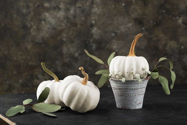 Free photo white pumpkins and green leaves arrangement