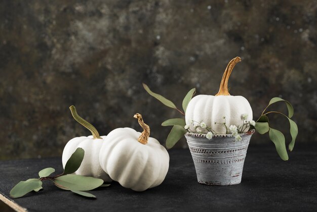 White pumpkins and green leaves arrangement