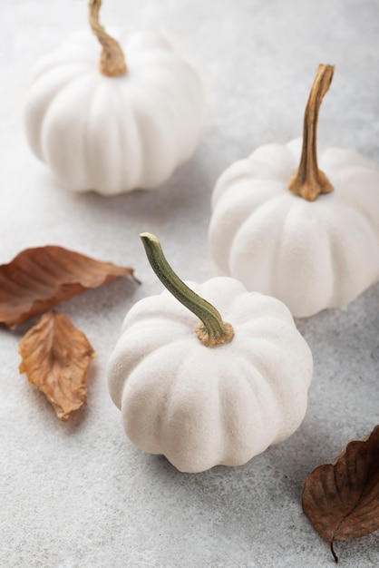 White pumpkins and leaves arrangement high angle