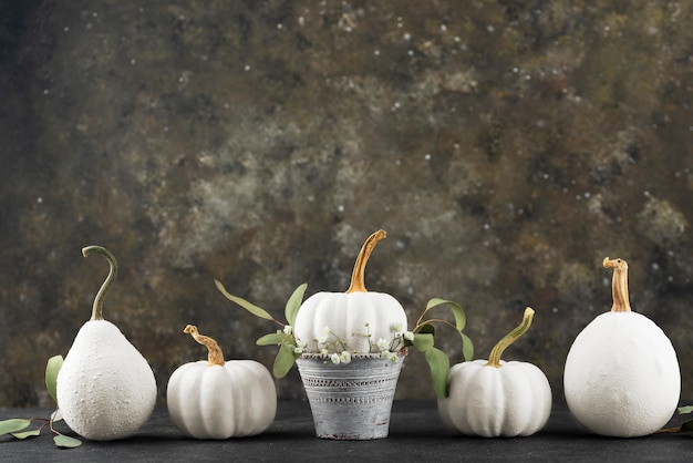 Free photo white pumpkins and leaves arrangement