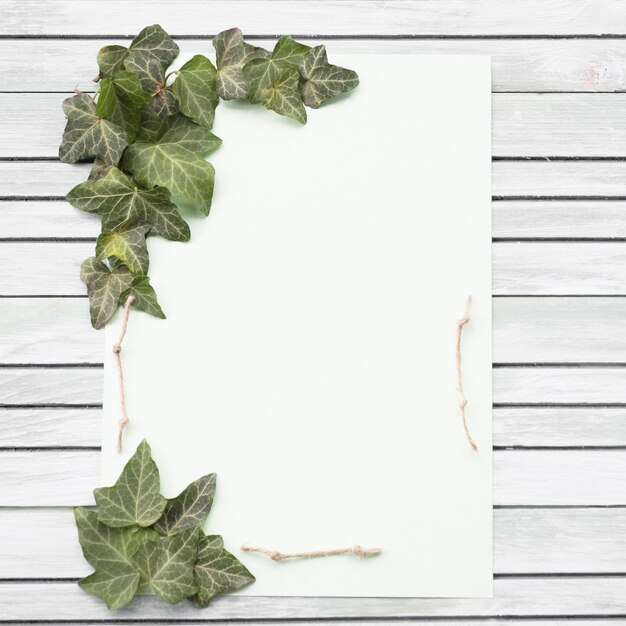 White and purple rose and green leaf on wooden background