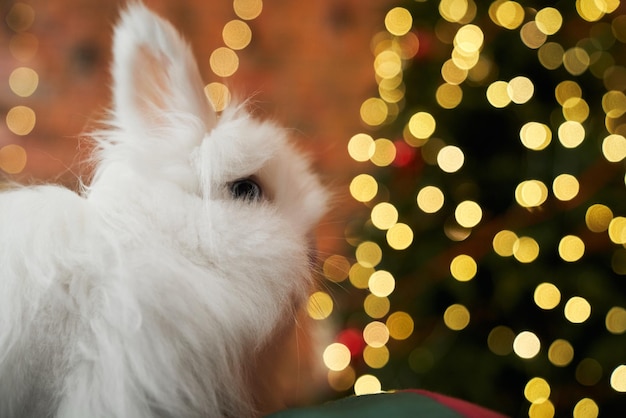 White rabbit sitting looking at christmas tree decorated with garlands