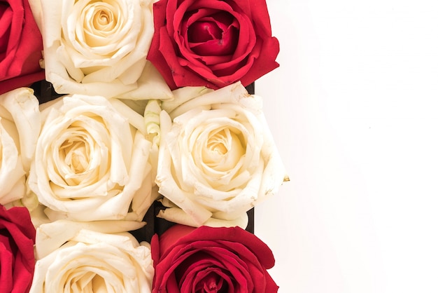 white and red rose on white