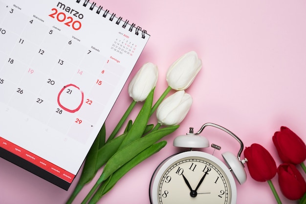 White and red tulips beside calendar and clock