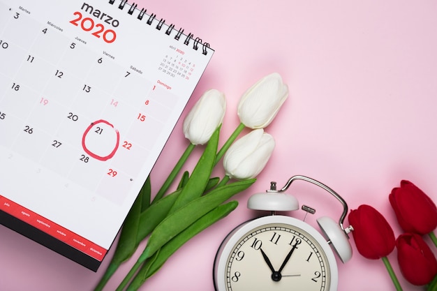 カレンダーと時計の横にある白と赤のチューリップ
