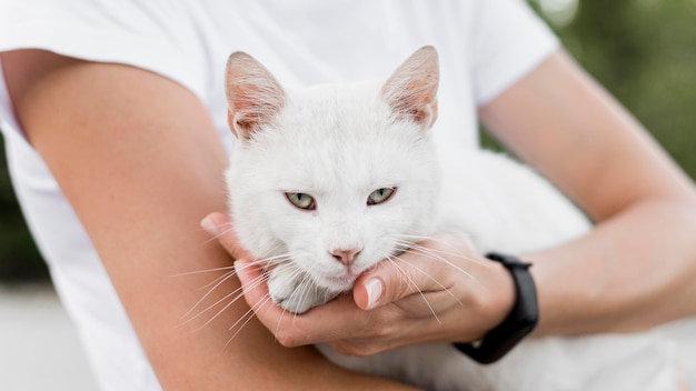 養子縁組の避難所で女性によって保持されている白い救助猫