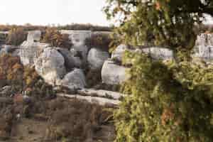 Foto gratuita colline rocciose bianche e alberi verdi