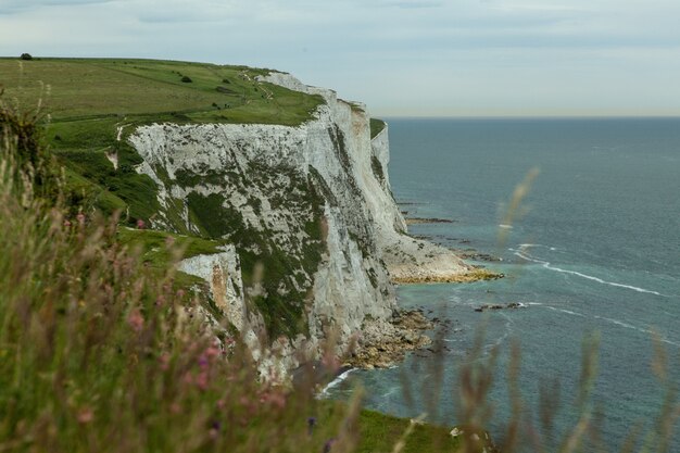 英国のサウスフォアランド海岸の海に囲まれた緑に覆われた白い岩