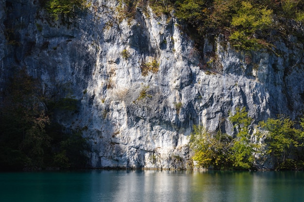 크로아티아의 플리트 비체 호수 근처 나무로 덮여 하얀 바위