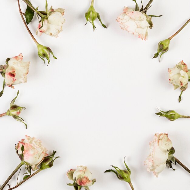 White roses buds and copy space