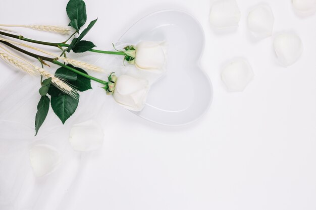 White roses petals