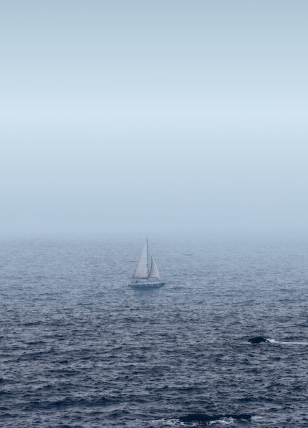 海の上の白いヨット