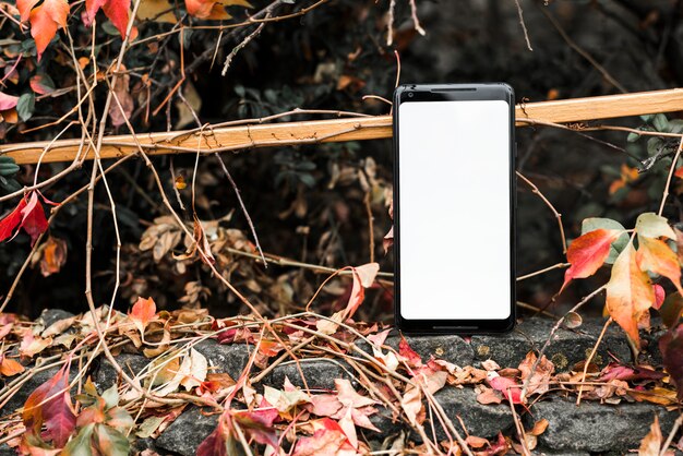White screen with mobile phone near the autumn leaves