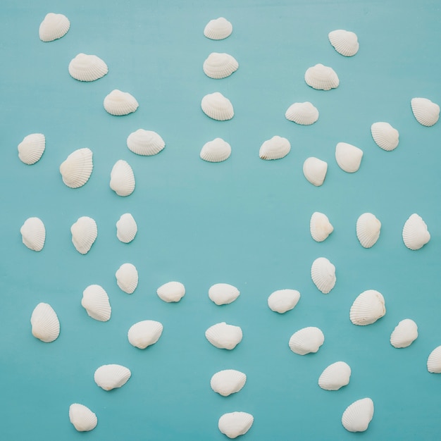 White seashells on blue background