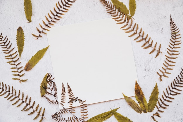 White sheet of paper among leaves