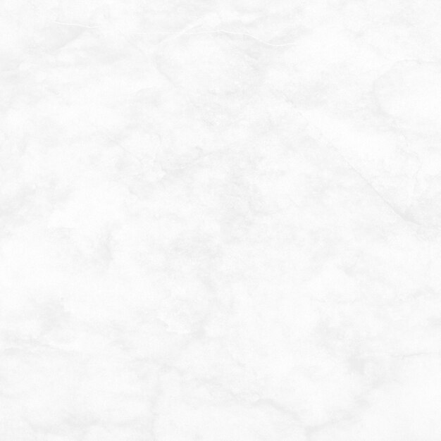 背景白 写真 770 000 高画質の無料ストックフォト