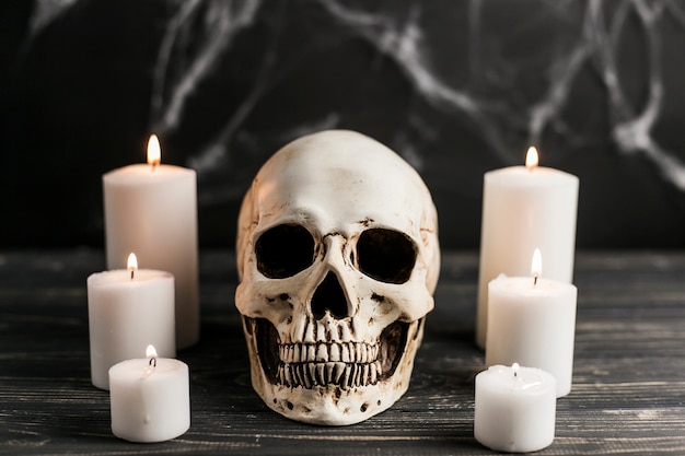 Free photo white skull and burning candles