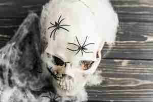 Free photo white skull with spiders in wadding