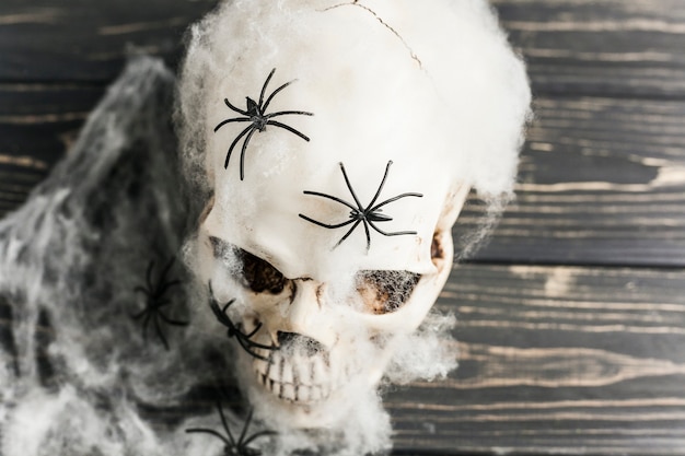 White skull with spiders in wadding