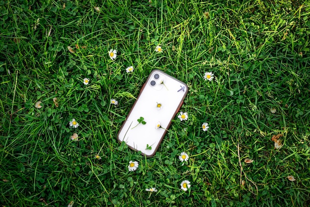 White smartphone in green grass among daisies