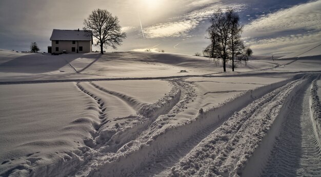 昼間は白い雪に覆われた畑