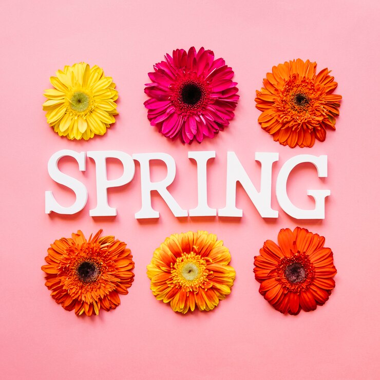 Free Photo white spring word and colorful flowers