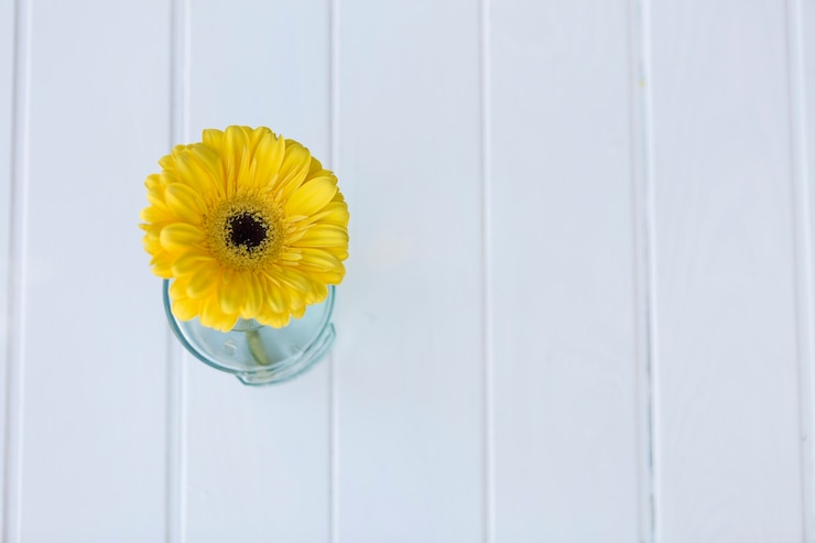 Free Photo white surface with decorative yellow daisy