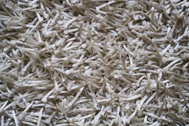 White threads of a carpet