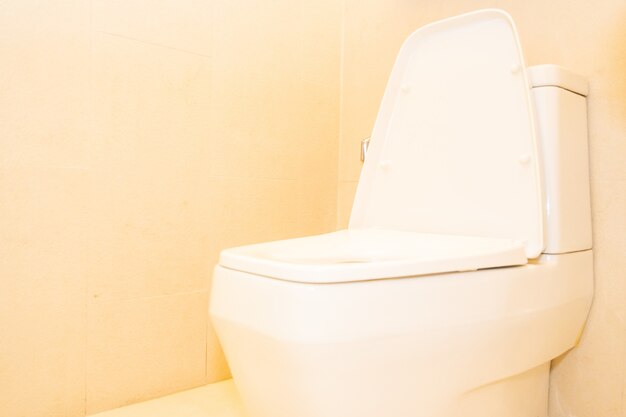 White toilet bowl seat decoration in bathroom