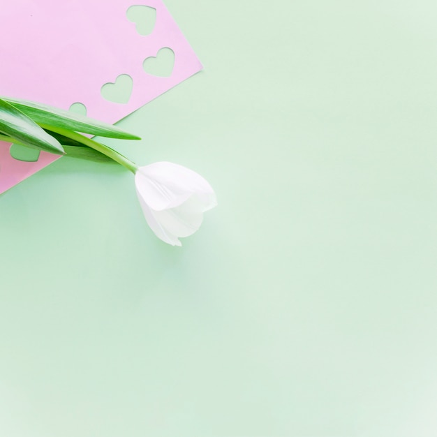 White tulip branch with cut hearts on pink paper