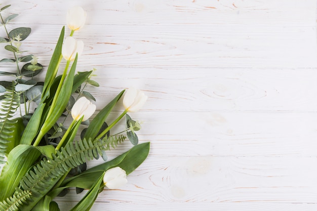 Foto gratuita fiori bianchi del tulipano con le foglie della felce sulla tavola
