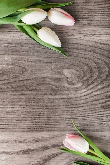 White tulips creating frame on wood